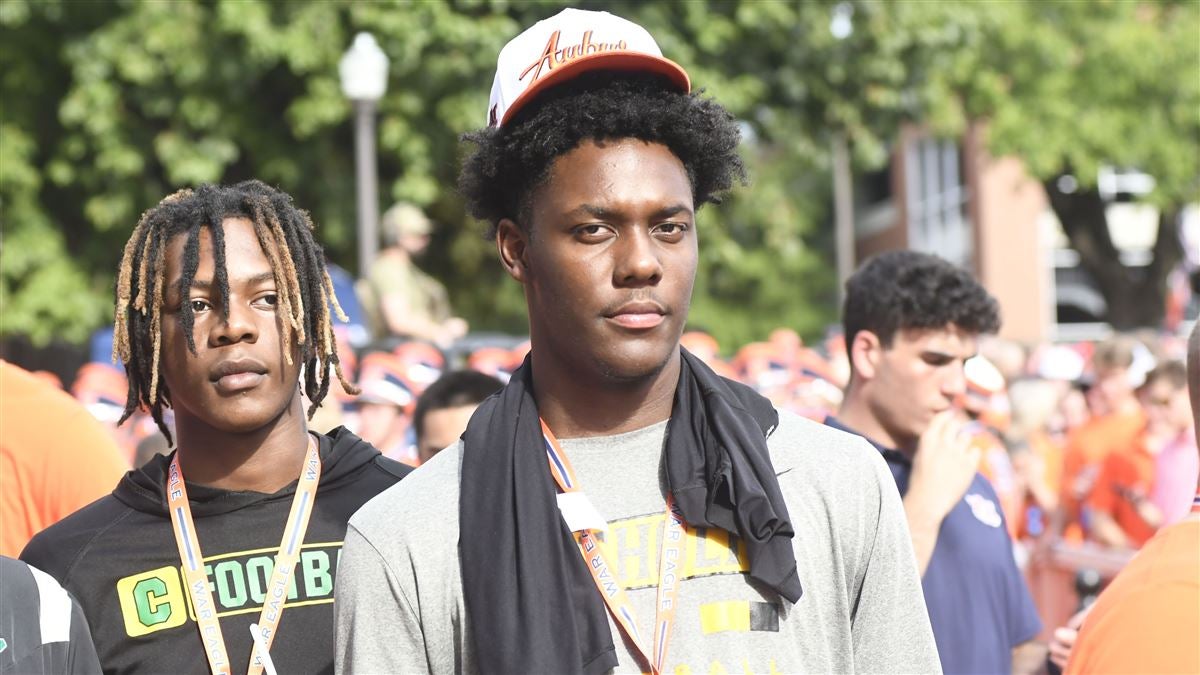 多篮球迷的 多篮球迷的